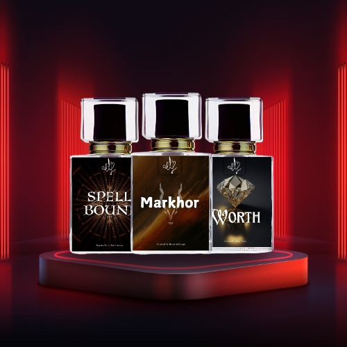 MEN'S PERFUME